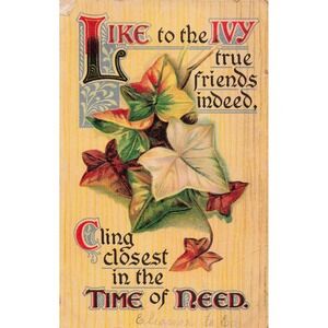 Antique Embossed Ivy Friendship Postcard True Friends Poem Divided Back VG